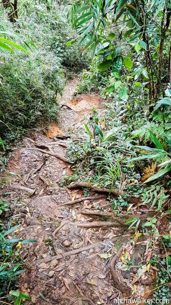 Lang Biang Peak - Bidoup National Park - Dalat