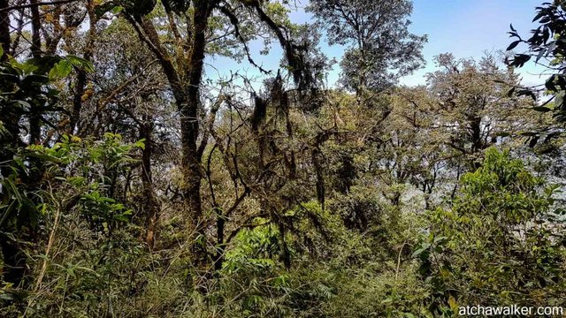 Bidoup National Park - Dalat