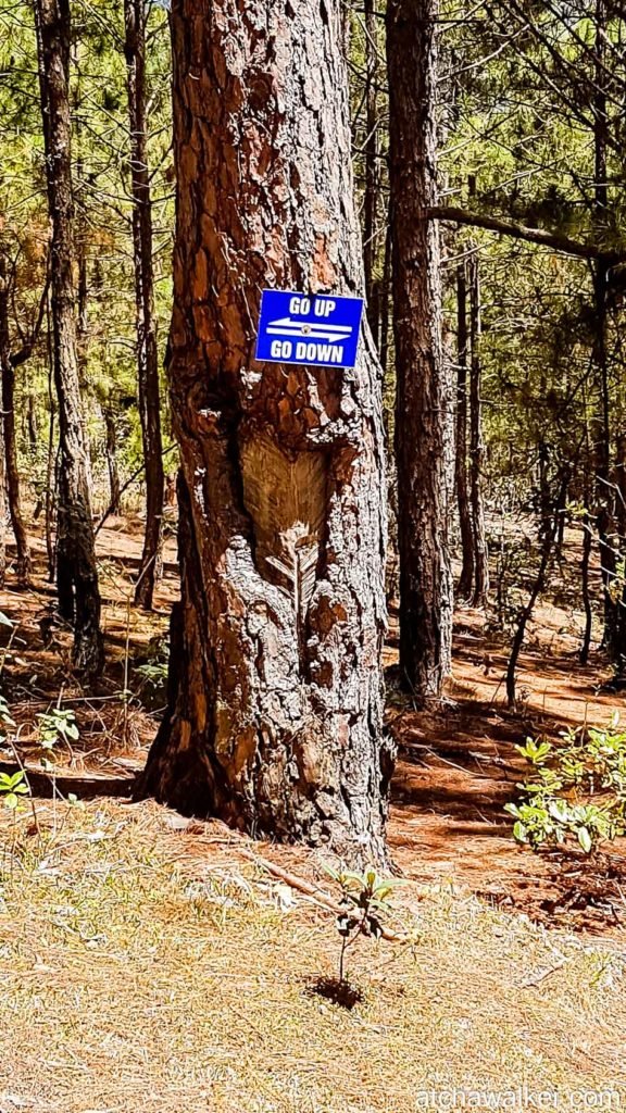 Bidoup National Park - Dalat