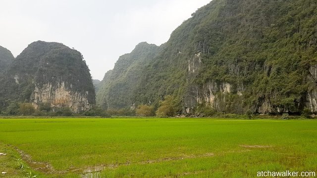 Guesthouse au milieu des rizières, what else ! - Tam Coc