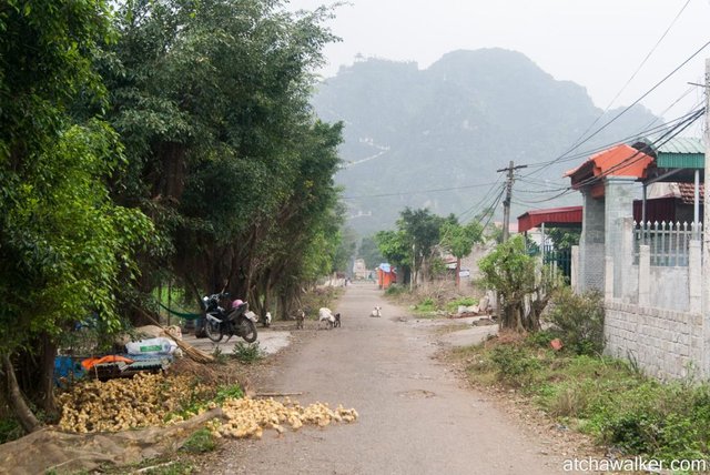 Coin-coin - Ninh Binh