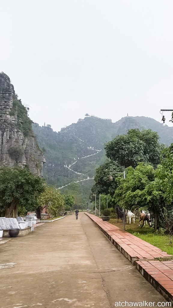 Escalier en vue! - Hang Mua Cave - Ninh Binh