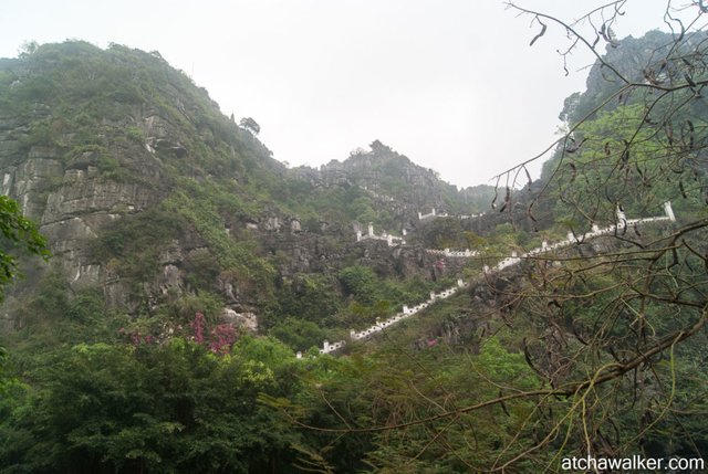 Hang Mua Cave - Ninh Binh