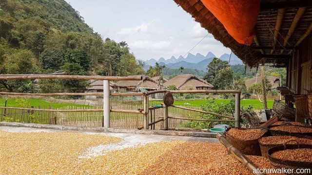 De la terasse servant à faire sécher le mais - Village Tay - Ha Giang