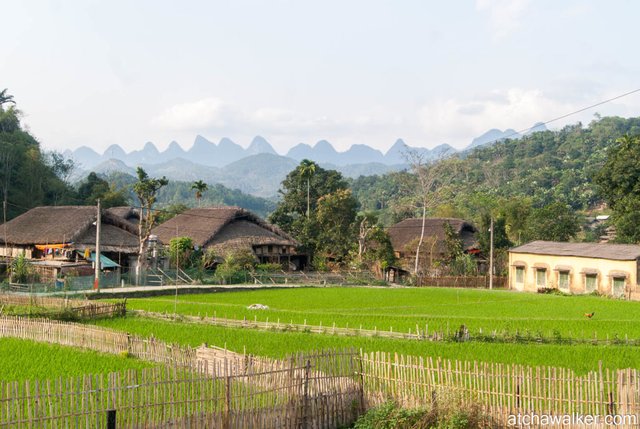 Village Tay - Ha Giang