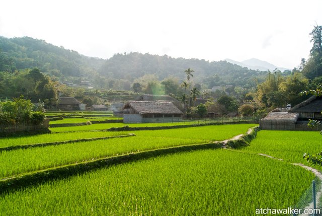 Village Tay - Ha Giang