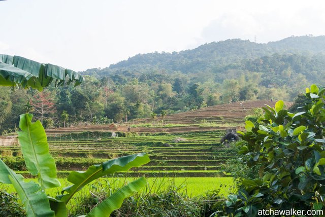 Village Tay - Ha Giang