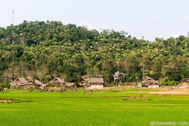 Village Tay - Ha Giang