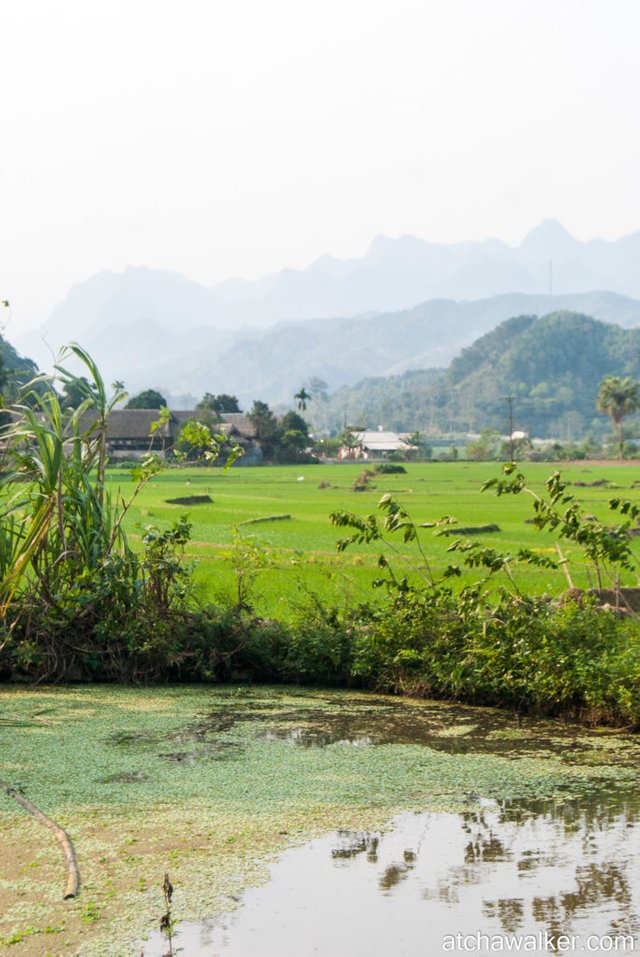 Village Tay - Ha Giang