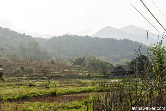 Village Tay - Ha Giang