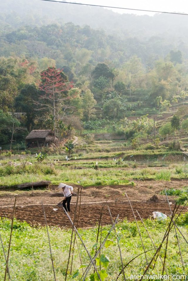 Village Tay - Ha Giang