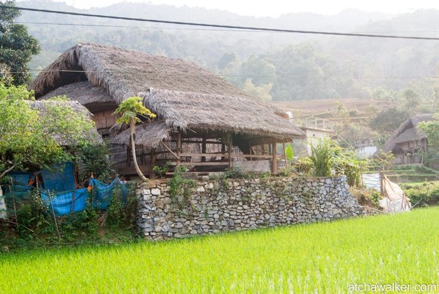 Village Tay - Ha Giang