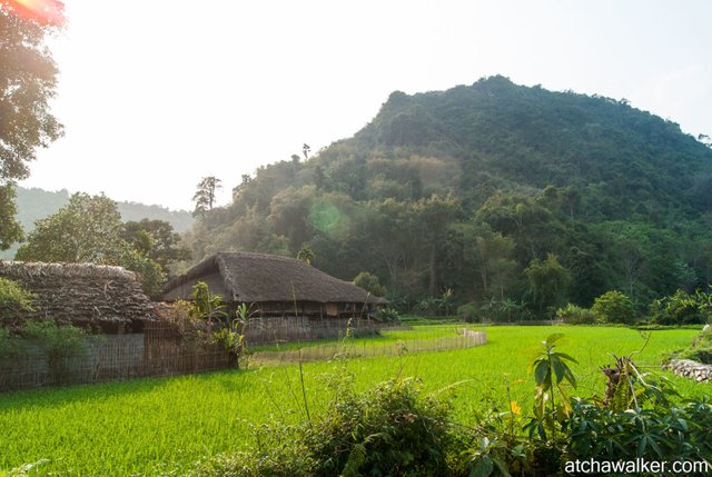 Village Tay - Ha Giang