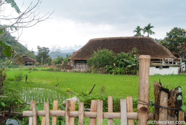 Village Tay - Ha Giang