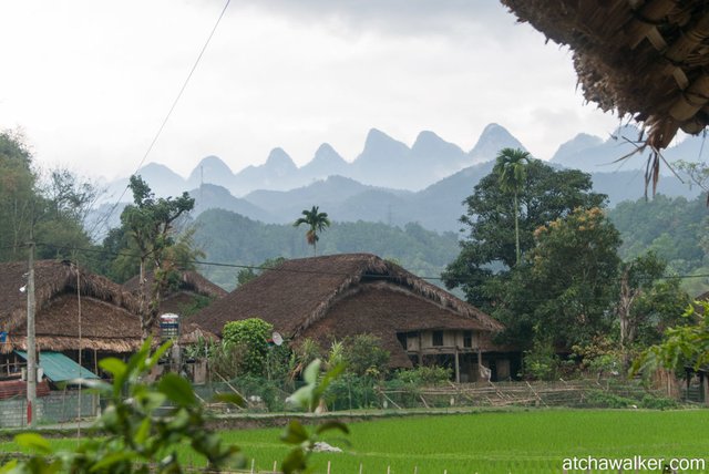 Village Tay - Ha Giang