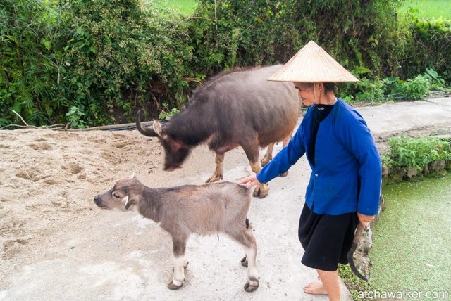 Village Tay - Ha Giang