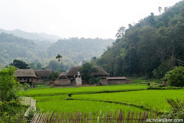 Village Tay - Ha Giang