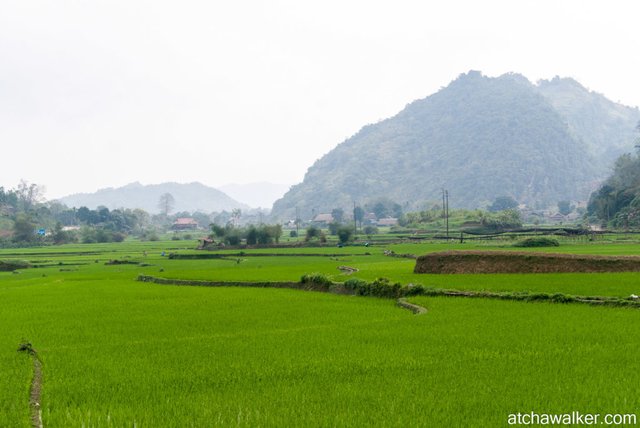 Village Tay - Ha Giang