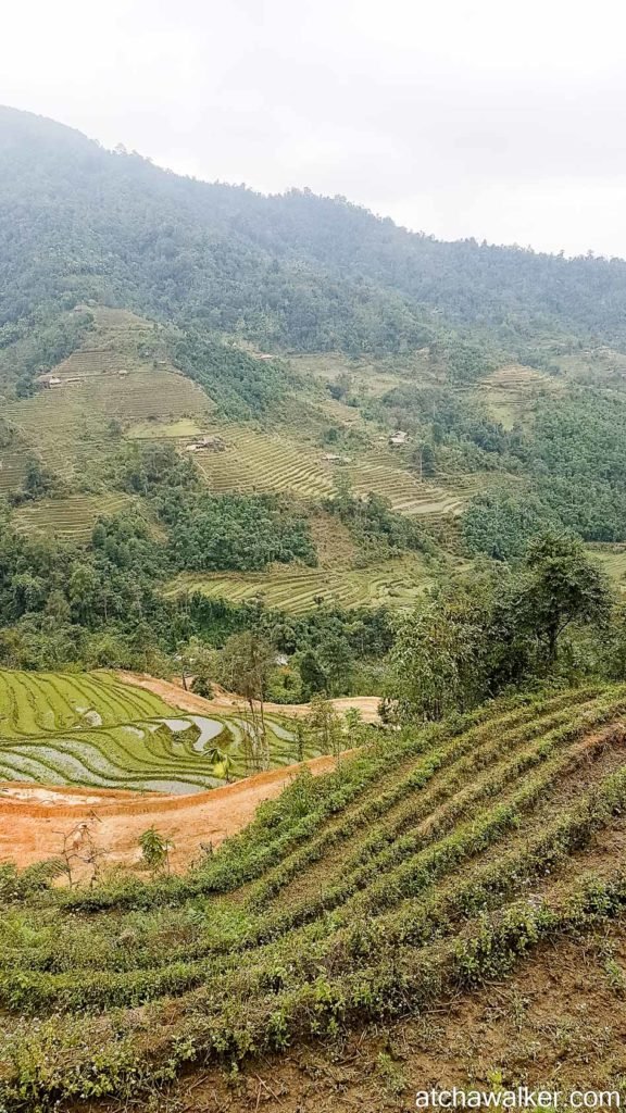 Journée trek - Ha Giang