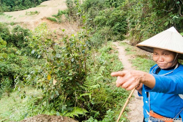 Journée trek - Ha Giang