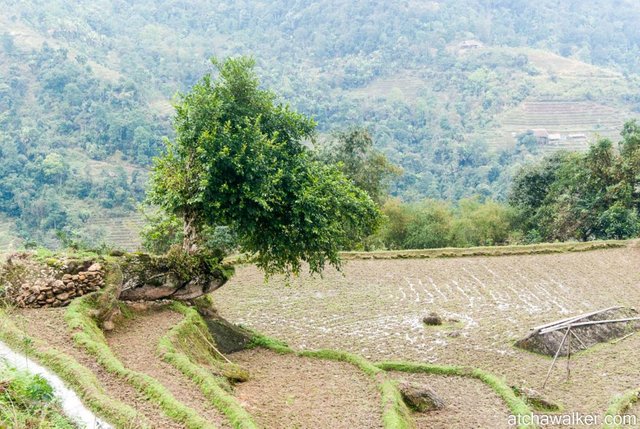 Journée trek - Ha Giang