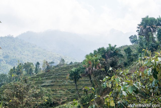 Journée trek - Ha Giang