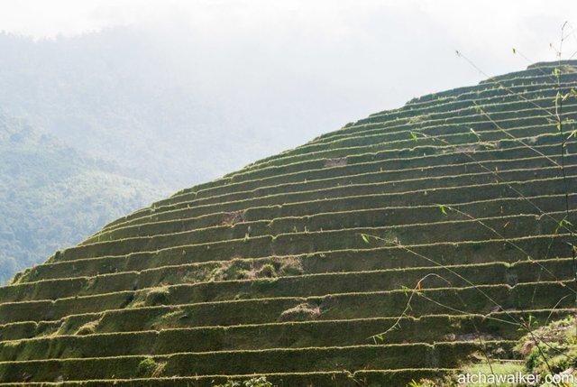 Journée trek - Ha Giang