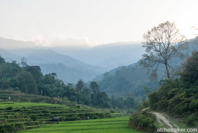 Journée trek - Ha Giang