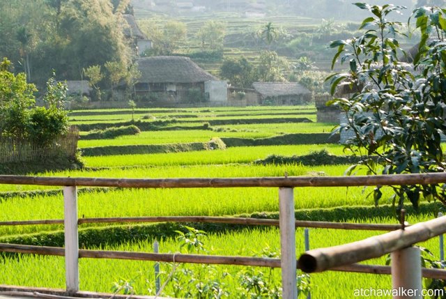 Peace and tranquility - Ha Giang