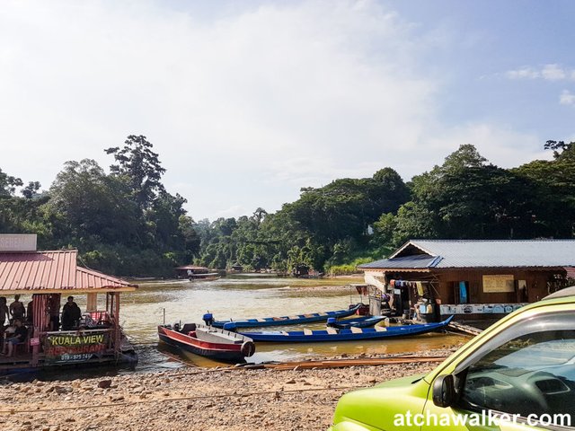 Taman Negara - Malaisie