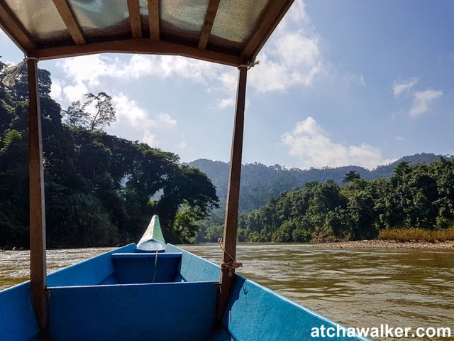 D'abord un peu de bateau pour s'enfoncer encore un peu plus dans la jungle - Taman Negara - Malaisie