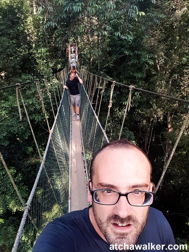 Le Canopy Walkway - Taman Negara - Malaisie