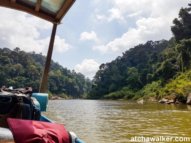 Encore 2h de bateau pour s'enfoncer d'avantage dans la jungle - Taman Negara - Malaisie