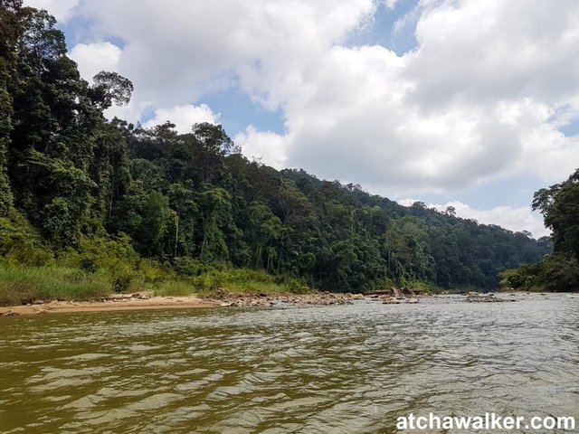 Taman Negara - Malaisie