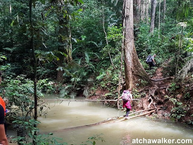 Ça va être compliqué de rester sec ! - taman negara