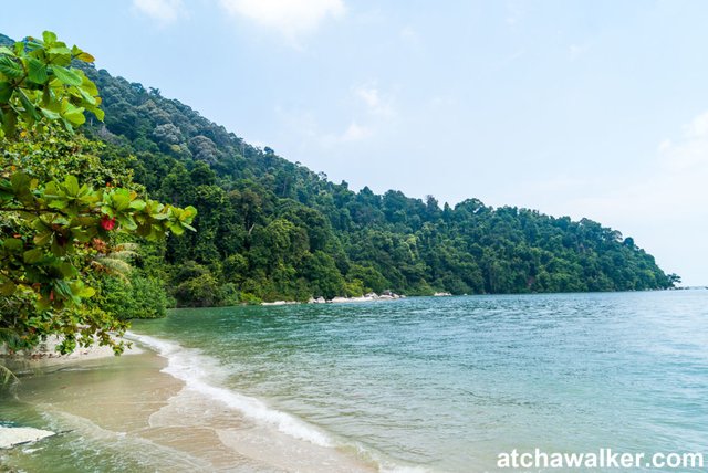 Parc national - Penang - Malaisie