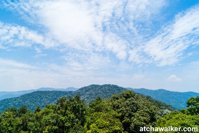 Parc national - Penang - Malaisie