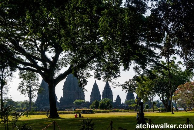 Temple de Prambanan - Java - Indonésie