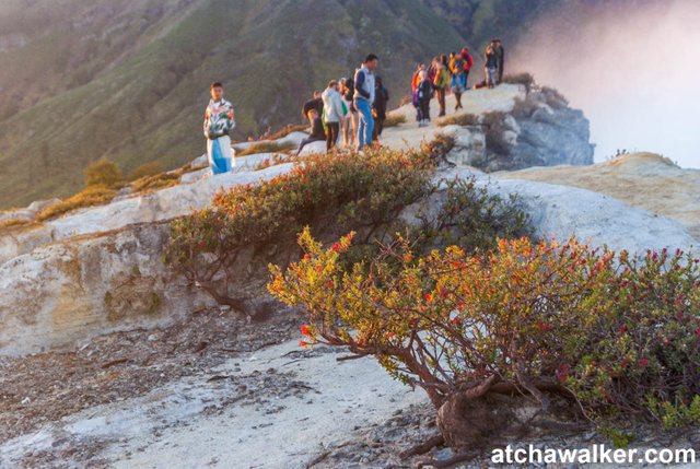 Kawah Ijen - Java - Indonésie