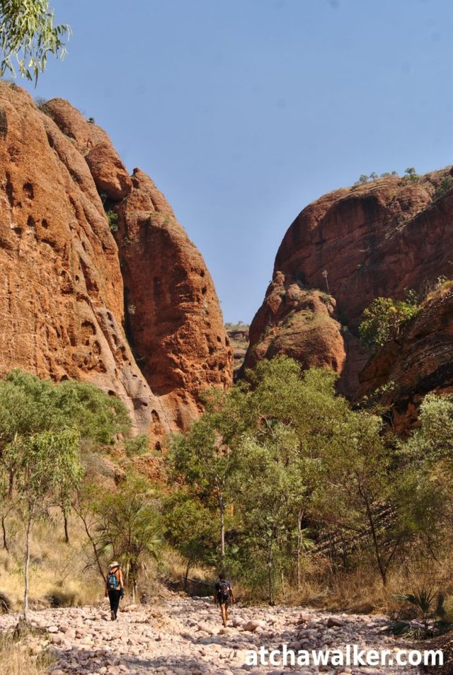 En avant toute dans le gouffre! - Echidna Chasm