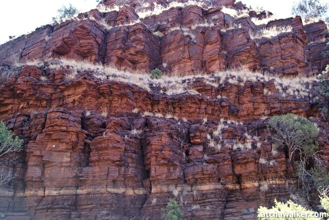 Dales Gorge, Karigini National Park