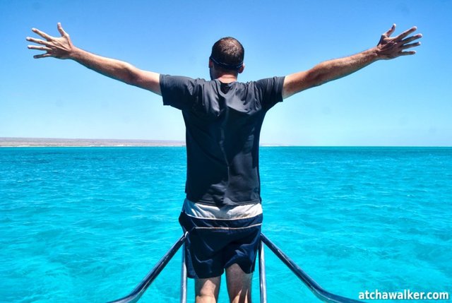 I’m the king of the world !...j’ai pas pu résister ! - Ningaloo Reef