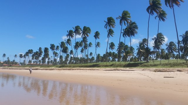 Praia do Cupe