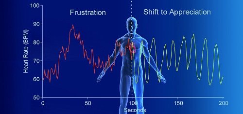 Meditation Biofeedback HRV