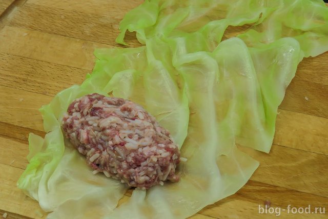 Classic cabbage rolls