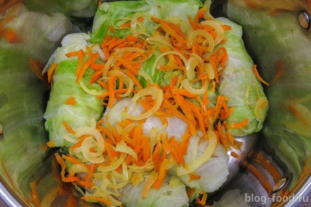 Classic cabbage rolls