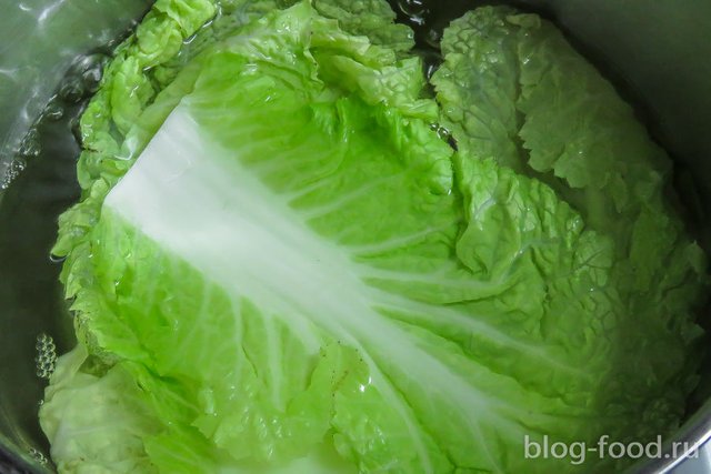 Stuffed cabbage from Chinese cabbage