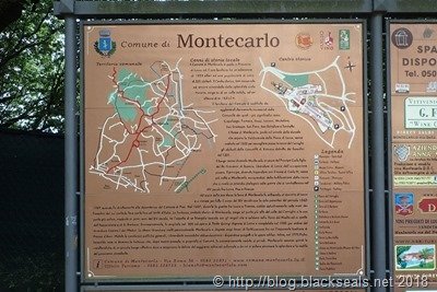 tag6_montecarlo_2