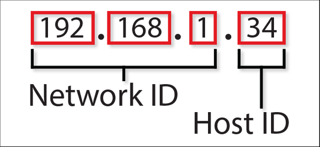 How to find your IP address