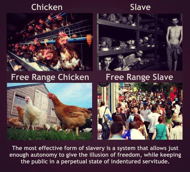 slaves.jpg